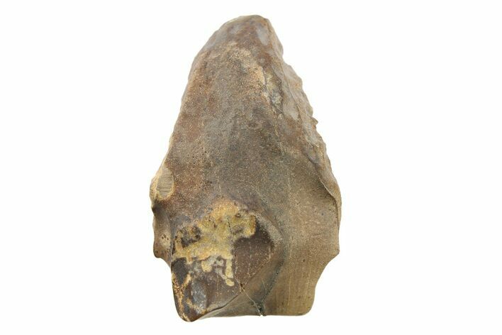 Dinosaur (Triceratops) Tooth - Wyoming #289111